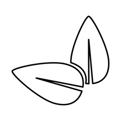 Isolated natural leaves Design Vector illustration, white background