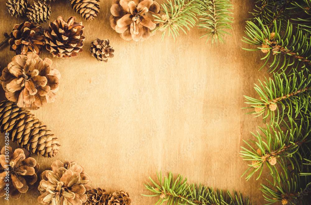 Wall mural christmas background. cones and branch in a frame.