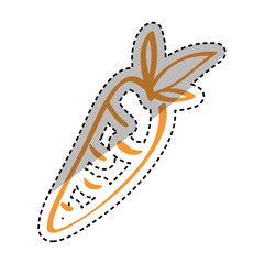 Fresh carrot vegetable Design Vector illustration, white background