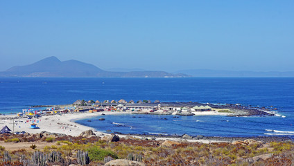 Totoralillo - playa Coquimbo