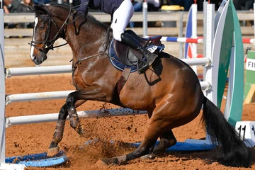 Papier peint adhésif Léquitation Rider on horse jumping over a hurdle during the equestrian event