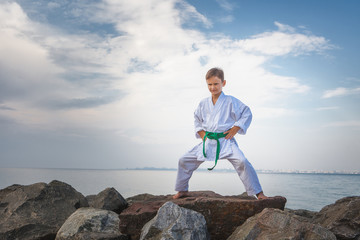 Fototapeta na wymiar Young boy training karate