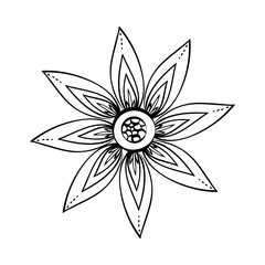 Beautiful flower in black and white icon vector illustration graphic design