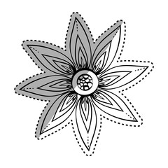Beautiful flower in black and white icon vector illustration graphic design