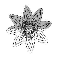 Beautiful flower in black and white icon vector illustration graphic design