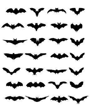 Big set of black silhouettes of bats, vector