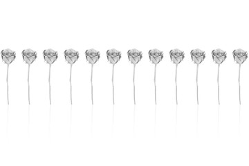 black and white 12 roses