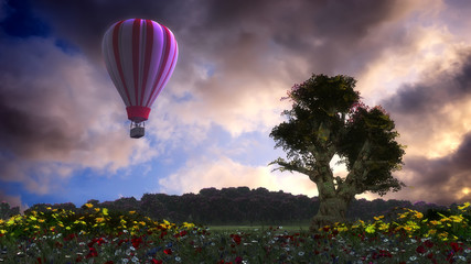 Fototapeta premium hot air balloons