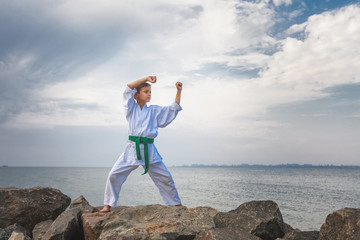 Young boy training karate © liandstudio
