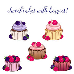 Sweet cakes with raspberries and blackberries on a white background.