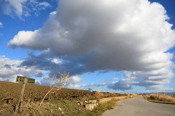 Regaleali, Terra del vino