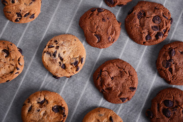 Freshly baked cookies on tray rack