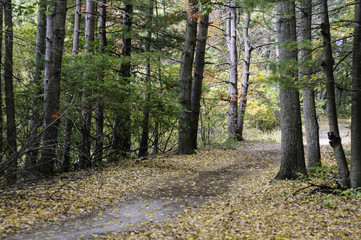 Obraz premium Path to reservoir