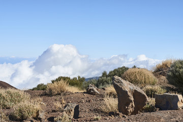 teneriffa 42
