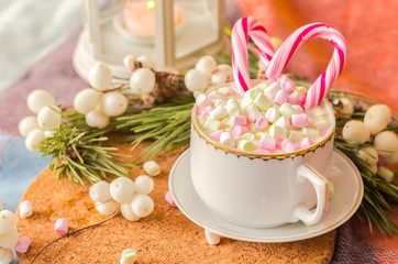 Fototapeta na wymiar Cup of hot cocoa with marshmallows