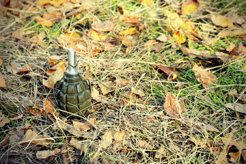 Hand grenade on green grass