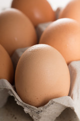 Egg on Carton Crate