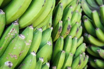 Green Banana