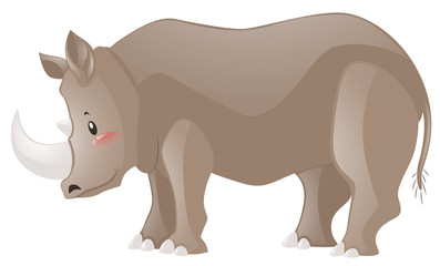 Cute rhino on white background