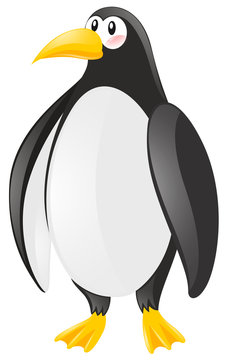 Cute penguin on white background