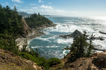 Cape Arago State Park, Oregon, USA