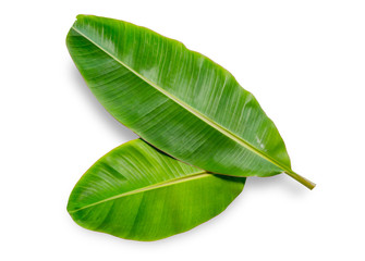 Obraz premium banana leaf isolated on white background, File contains a clipping path.