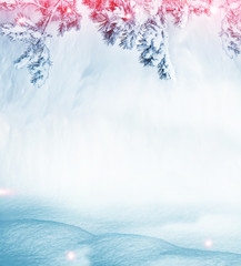 Christmas background with snow-covered fir branches