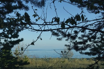 scenic views of the lake, autumn day