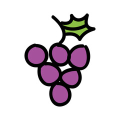 grapes fresh fruit drawing icon vector illustration design