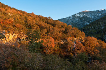 Fall at Wasatch National Forest, Wasatch Range