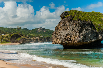 Naklejka premium Barbados single Rock 