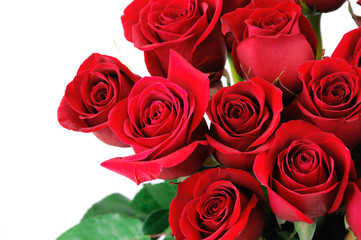 bouquet of red roses