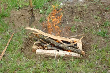 Bonfire in the forest