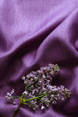 Lilac branch and purple fabric