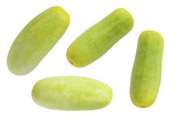 Green cucumber isolated background