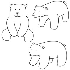 vector set of polar bear