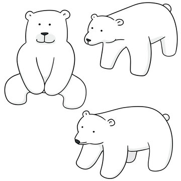vector set of polar bear