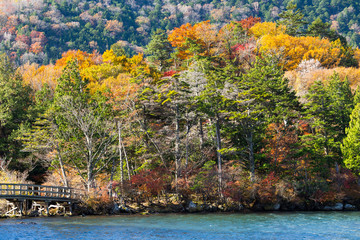 Autumn nature in yuno lake of Nikko Japan