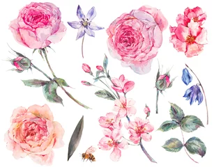 Fotobehang Rozen Set vintage aquarel rozen bladeren, bloeiende takken