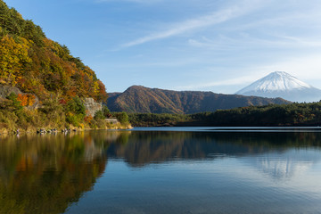 Mountain Fuji and Saiko Lake in Autumn