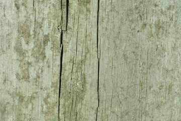 Obraz premium Wooden texture with scratches and cracks