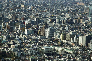 Fototapeta na wymiar capital city of Japan view with Shinjuku districts