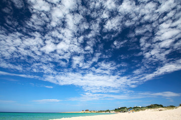 Sunny beach with scenic sky