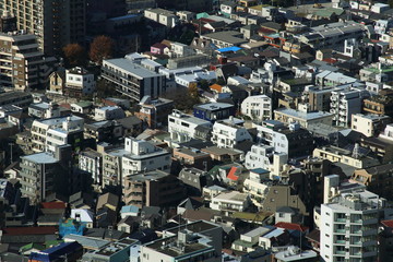 Fototapeta premium capital city of Japan view with Shinjuku districts
