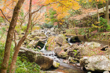 Waterfall at Kuragashi valley in Autumm season.Japan