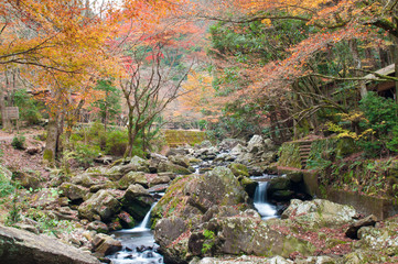 Waterfall in Autumn season.Japan