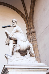 hercules and nessus on Piazza della Signoria