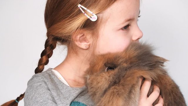 blondes m&auml;dchen spielt mit kaninchen indoor