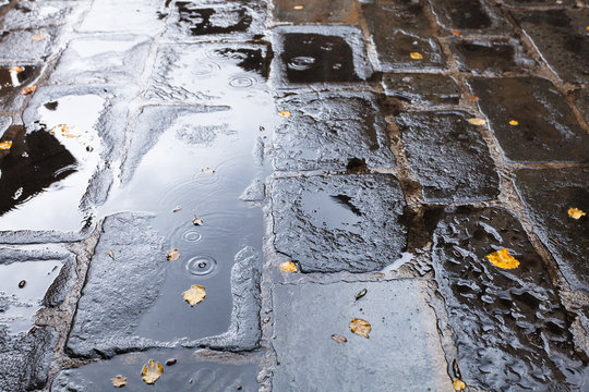 old pavement with rain puddle in autumn
