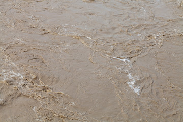 dirty water of Arno river in Florence city